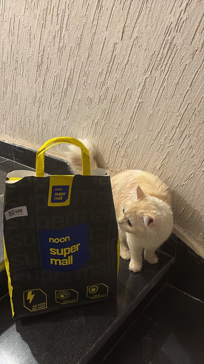 2gotohell's tweet photo. ملقوف https://t.co/44Nel5wDtf
