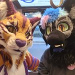 Photo by Ryker (@LittleRyRy1)