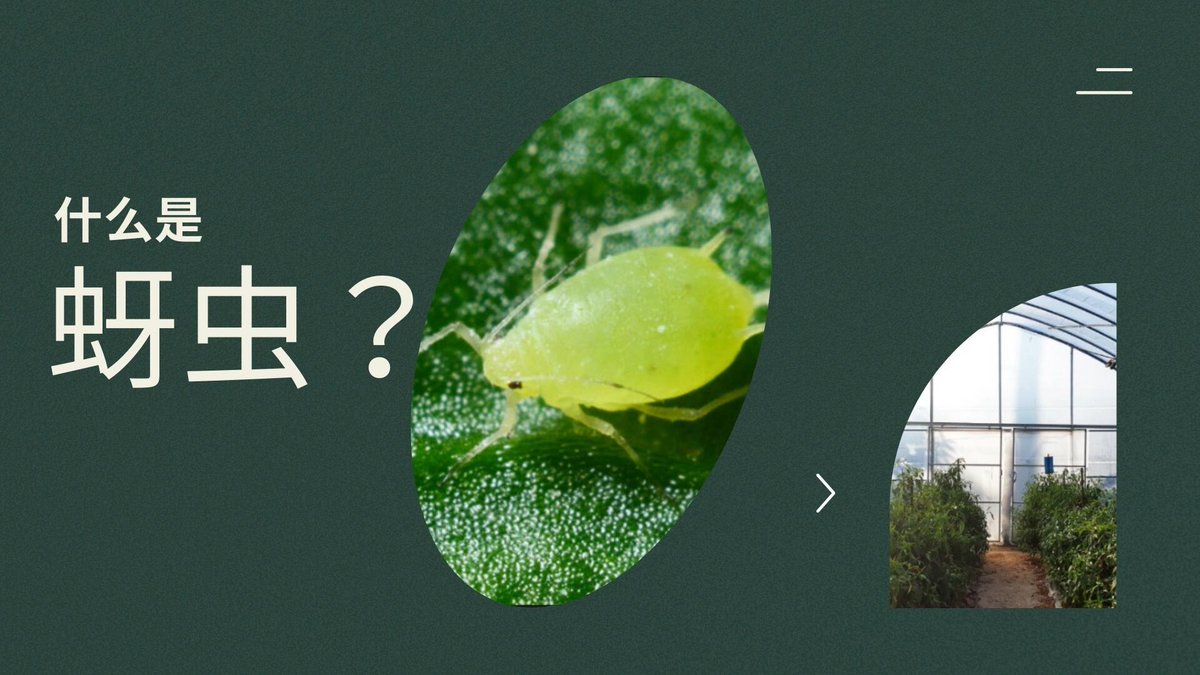 pwangjin's tweet photo. [一棵の木に玖匹のアブラムシがついてる！]， https://t.co/cNRgQoNaYf