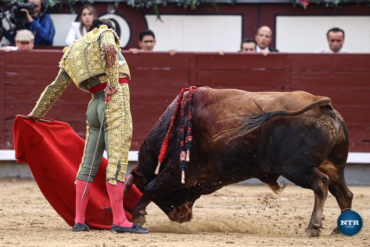 JBAYORT's tweet photo. Colocación suprema, poder inmenso y belleza absoluta. La genialidad que brota sobre la erosión de la interminable temporada. A medio gas sigue siendo el mejor de todos. Esfuerzo mayúsculo, ínfimo reconocimiento. Hay quienes siguen sin ser conscientes del colosal sacrificio, físico y anímico, que ha llevado a cabo para llegar hasta ahí. 

Chapó, Morante. Chapó. 

📸 @ntrtoros
