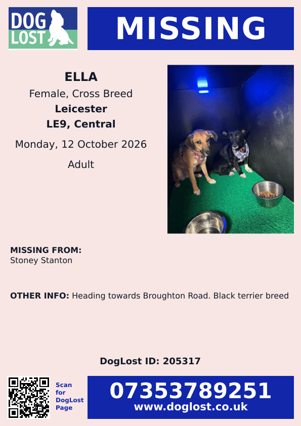 millypod1's tweet photo. 🆘12 OCT 2026 #Lost Ella #ScanMe
Black Terrier Cross Breed Female
#StoneyStanton #LE9
County #Leicester #Leicestershire
Heading towards Broughton Road.
https://t.co/UI3WOdOl77 https://t.co/wvyaylJxe0