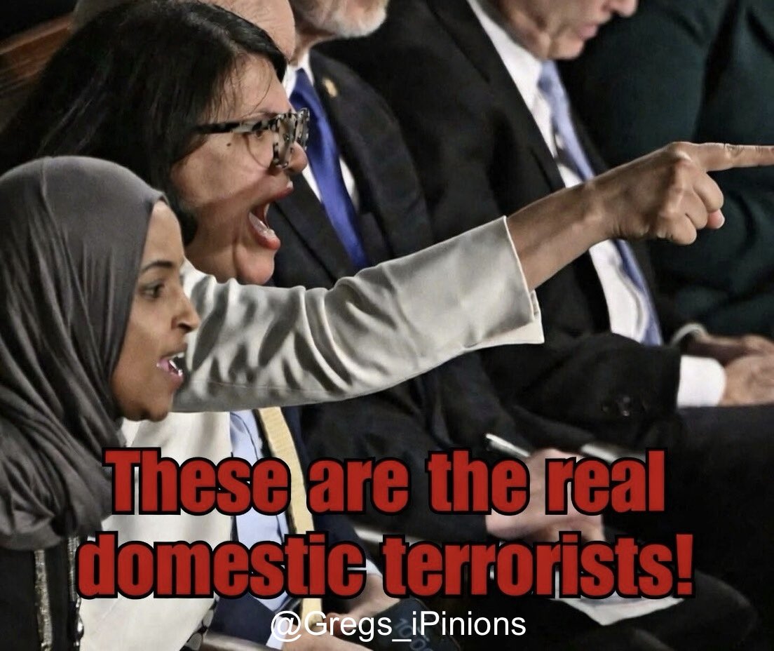 rightonQ1177's tweet photo. @RashidaTlaib Of course you stand with Ilhan! You two are equally disgusting. https://t.co/qhKeqKIEPd