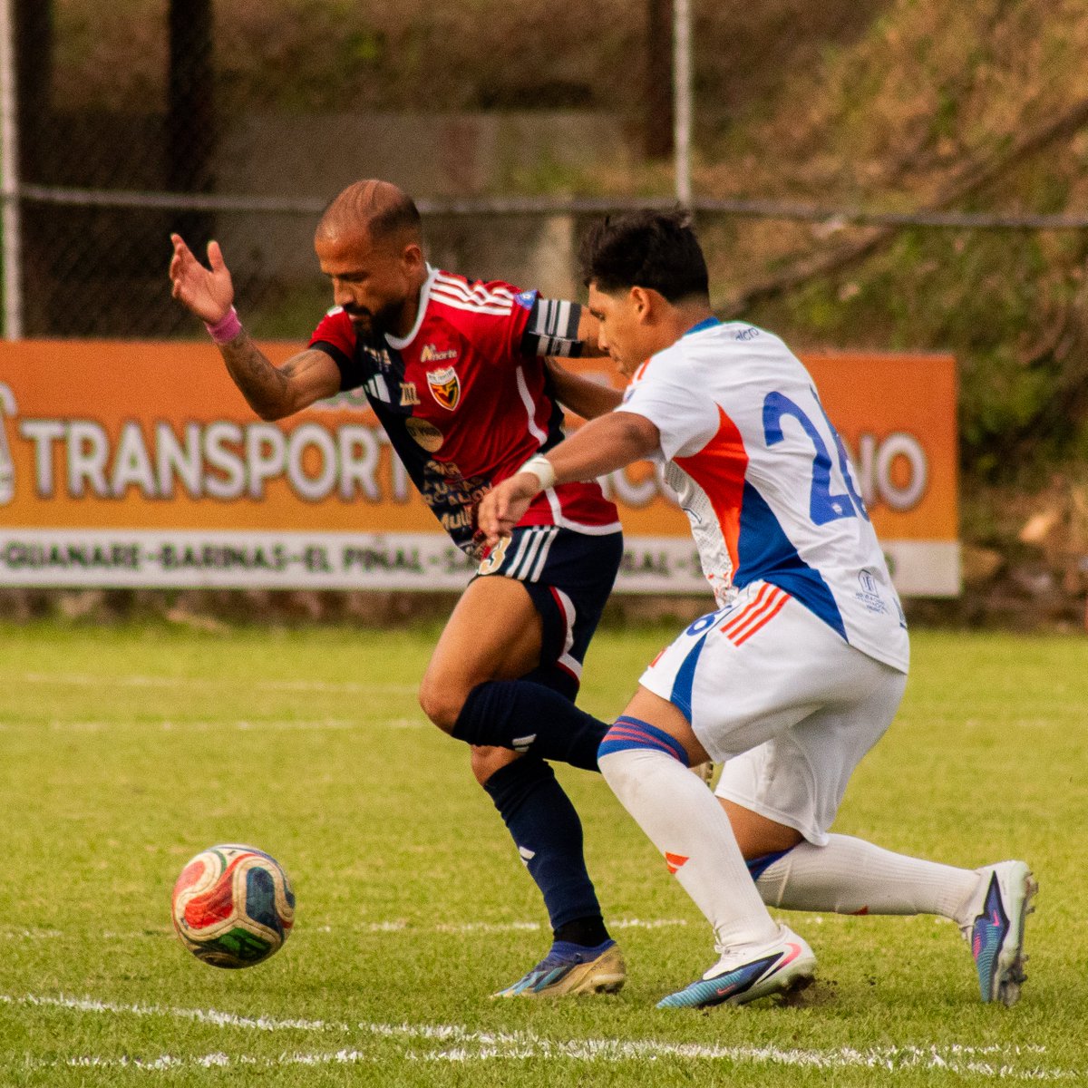 realfronterasc's tweet photo. 💪🏻• Las mejores postales del TRIUNFAZO en nuestra casa 🆚️ Academia Puerto Cabello B por la Jornada 34 de la #LigaFUTVE2ApuestasRoyal ⚽️🔥
#YoSoyReal #RealFrontera https://t.co/AWuWJBiPrn