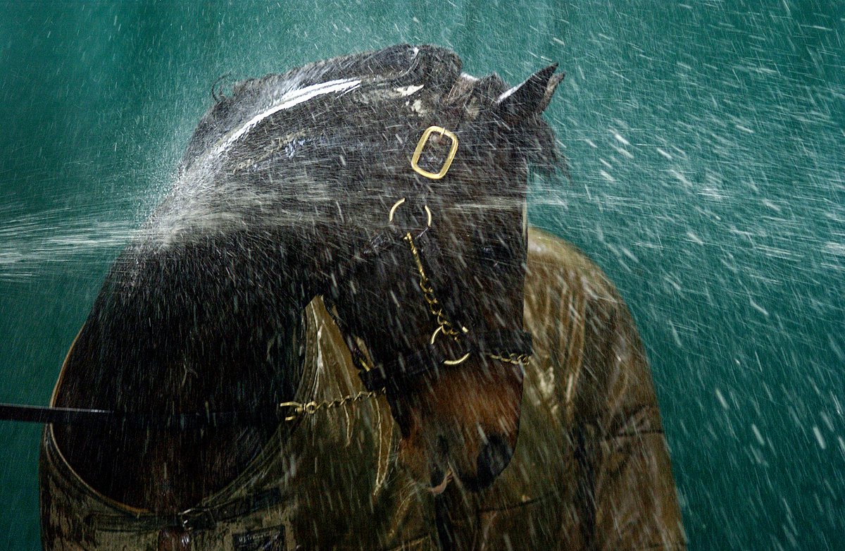 RacingPost's tweet photo. Racing Post photographer Edward Whitaker picks out his 40 favourite pictures from his illustrious career! 🤩📸

See more here with Racing Post+ 👇

🔗 - https://t.co/uHlVCAoVpa https://t.co/t1oR7Oly45