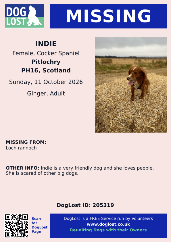 millypod1's tweet photo. 🆘11 OCT 2026 #Lost Indie #ScanMe
Cocker Spaniel Female
Loch Rannoch #PH16
County #Pitlochry #Perth and #Kinross #Scotland
Indie is a very friendly dog and she loves people. She is scared of other big dogs.
https://t.co/O4xcDzMALh https://t.co/KkMHiLhKEc