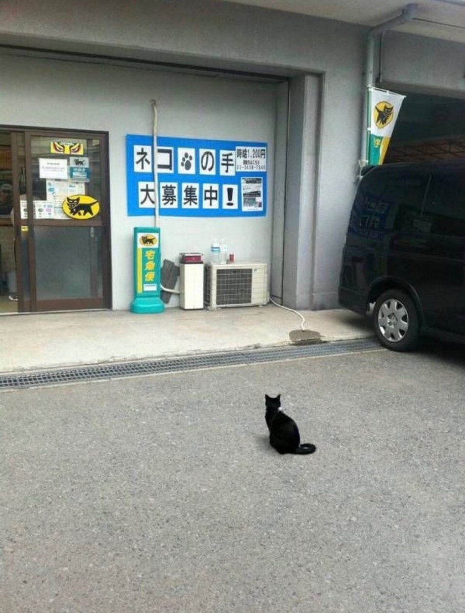 animal_kyawa_'s tweet photo. すみませーん
面接に来ました！ https://t.co/2pxA7iadYT