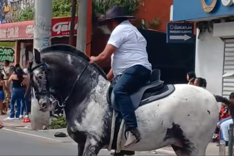 Jinete termina en el suelo durante desfile hípico de San Miguel Petapa (video)