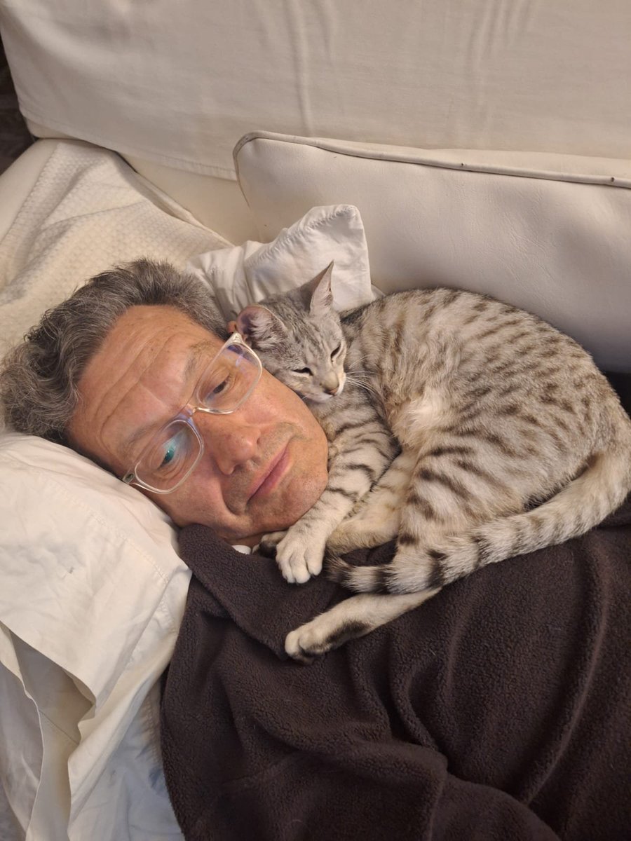 ceferinoreato's tweet photo. Lionel. El gato q no deja ver la serie. https://t.co/1biU25bLRX