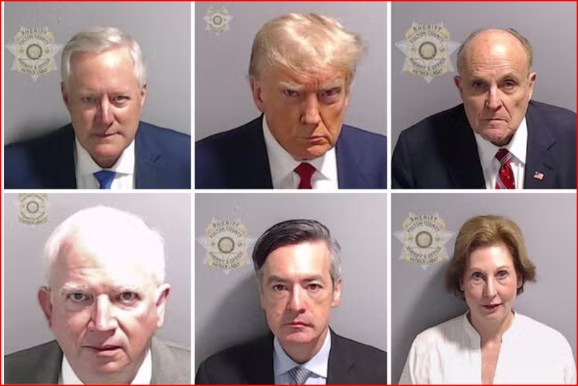 ZEER0HOUR's tweet photo. I cant believe President Trump would weaponize the government.

How could that happen @IlhanMN https://t.co/x6C6jqpsTl