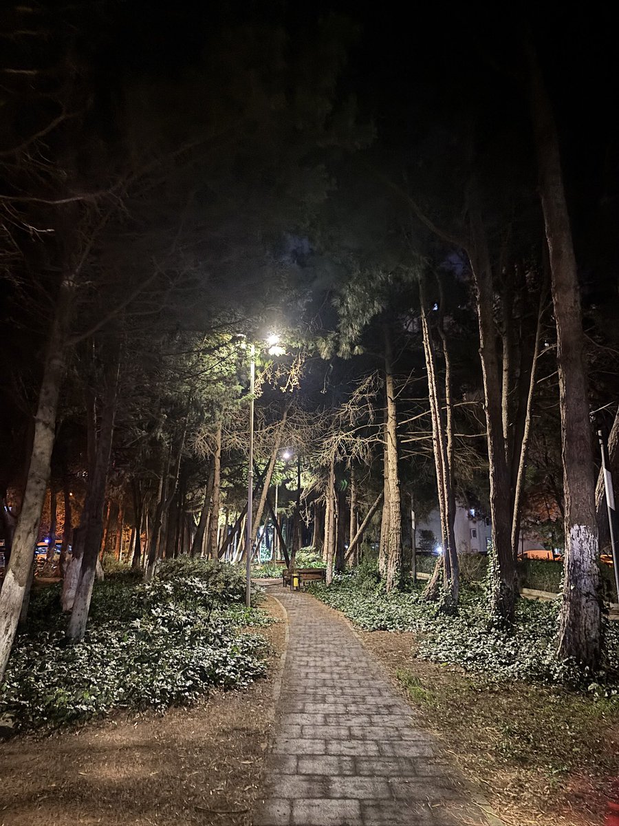 arrivetxt's tweet photo. Mesai sonrası yalandan 5 km yürüyüş yapıldı. https://t.co/aCvyGaB58x