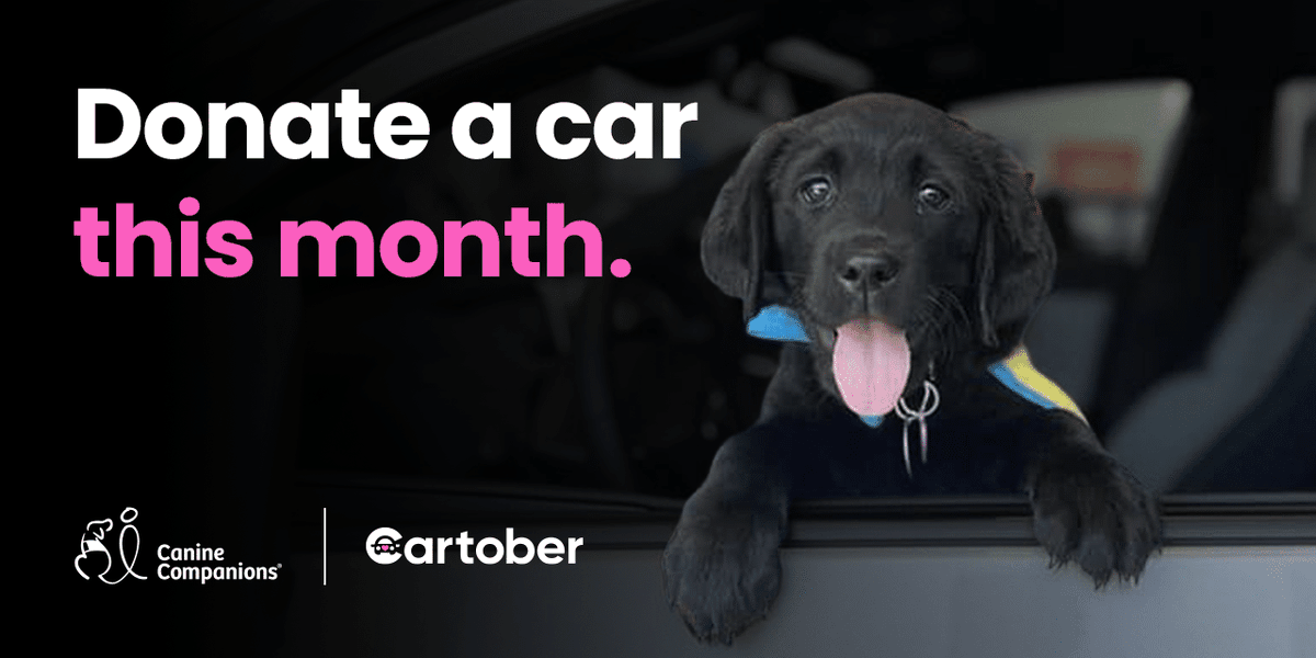 canineorg's tweet photo. 🍂 It’s fall cleaning season – get rid of that old or unwanted vehicle – for FREE, and help provide more #servicedogs to people with disabilities! 🐕‍🦺

🚙 Get started: https://t.co/Yd9ujAxhAX
 
#Cartober2026 #CanineCartober #fallcleaning #cars #boats #motorcycle #donate https://t.co/wLLZWZeEDt