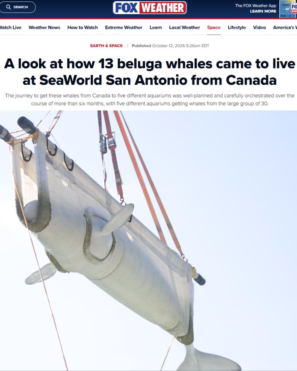 SeaWorld tweet picture