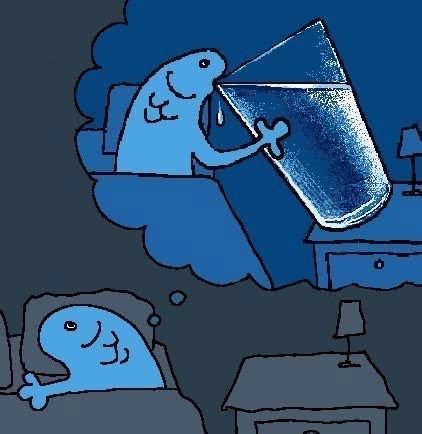benjamooom's tweet photo. This is how I feel every day whenever I wake up https://t.co/3USCUC9JMH