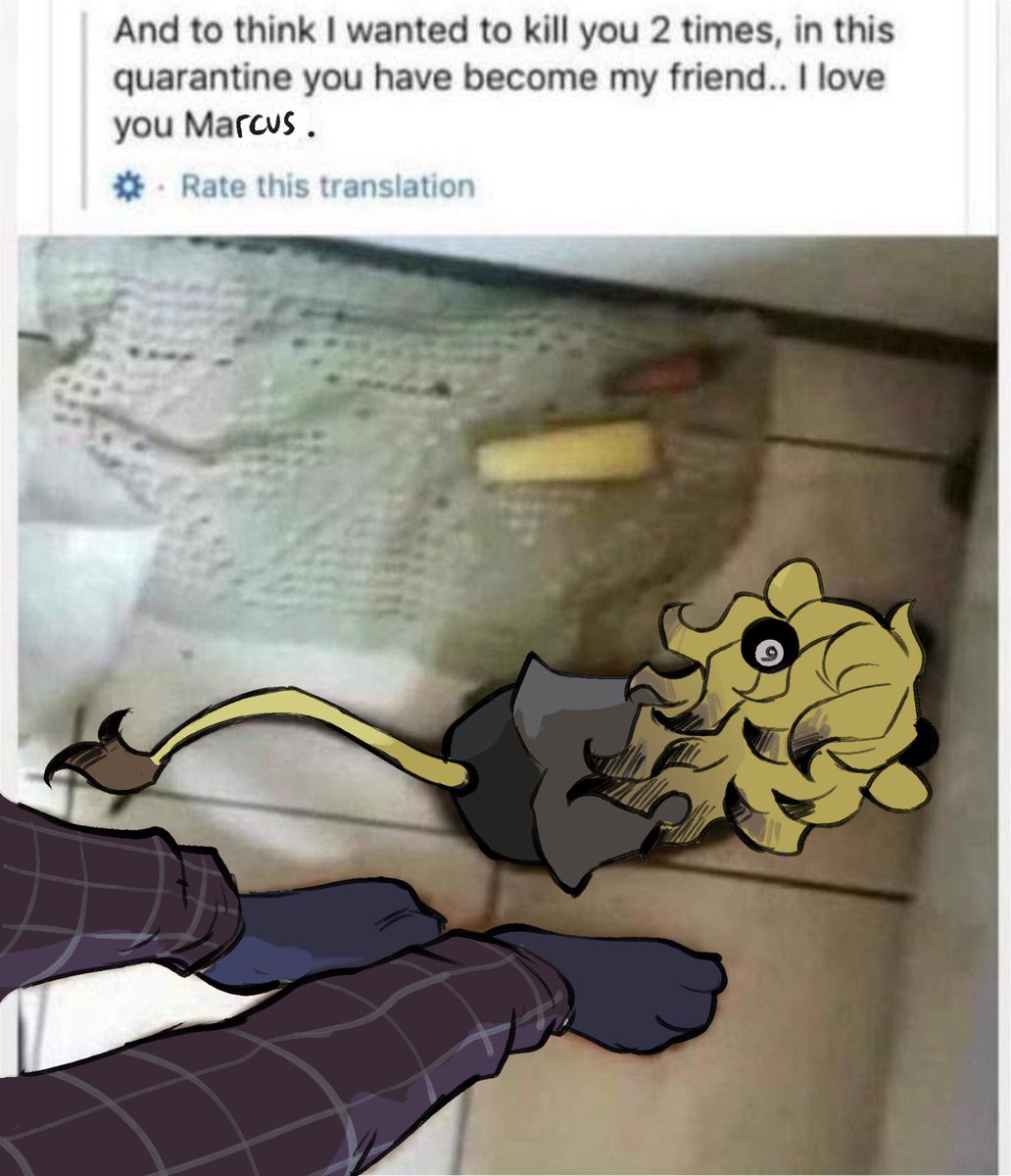 enervatdCritter's tweet photo. my relationship with marcus (after being surrounded by marcus fans) https://t.co/ioKp5lFcSc