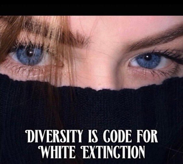 Shammybluestar's tweet photo. https://t.co/v7qvcSCOg6