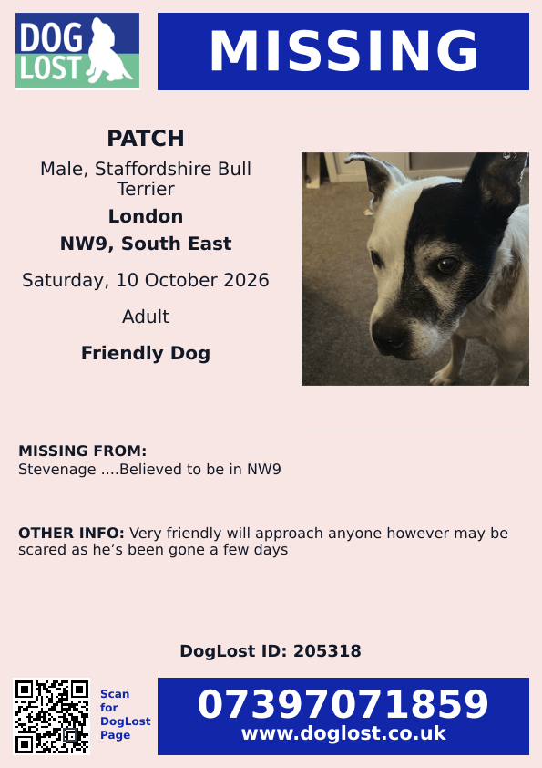 millypod1's tweet photo. 🆘10 OCT 2026 #Lost Patch #ScanMe #STOLEN??
Staffordshire Bull Terrier Male
#Stevenage #SG1 ....Believed to be in #NW9
#London #GreaterLondon
https://t.co/1sZ3CjPbju https://t.co/wDrPLzBlJJ