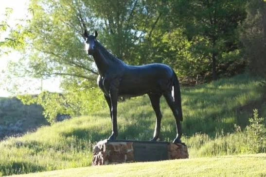 Image from John Salzman (@HighPrairieFarm)