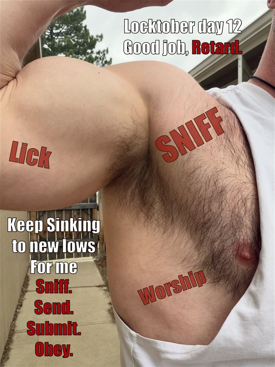 KinkyMAGAdog's tweet photo. 🔒Locktober Day: 12🔒 

Good job retards, almost halfway to NNN 🤣 

Stay weak, stay stoopid. Open your wallet and worship White Men.

#Findom #CashMaster #Locktober
