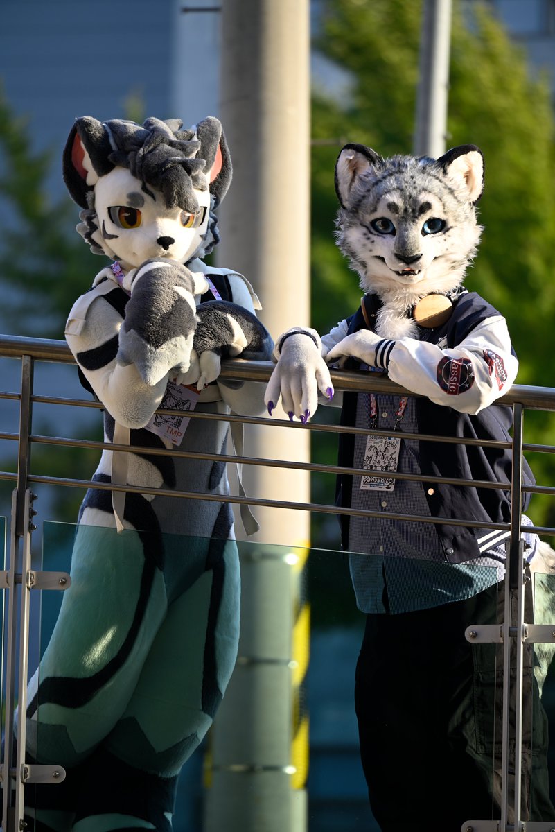 Limuri02's tweet photo. #FurRaid2026 https://t.co/qGWu8yBOTF