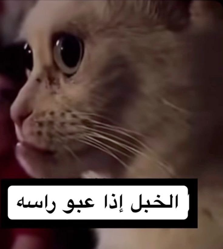 vxjl3's tweet photo. بلكت وحده عمانيه عندي بالسناب 
تمت الشخصنه https://t.co/anUKEAZjKe
