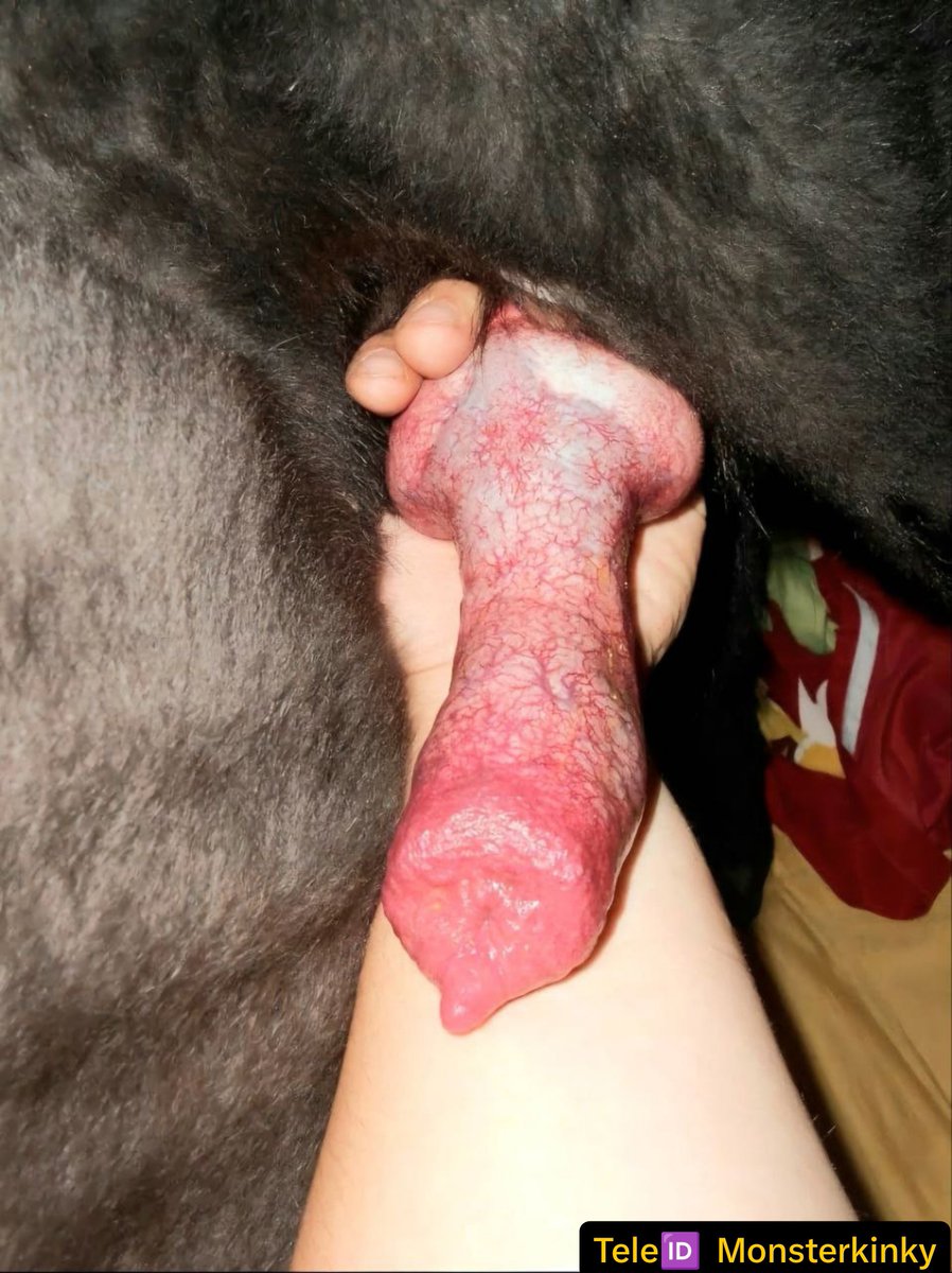 pricessslops's tweet photo. Alr. Imma wait first 20 bolds to watch my Huge Nasty headed Pup KnoteD🐾🥵
DeePInmE 😋👿
Catch up rn imma wait y'all ..hehe
https://t.co/h7s5Mp3Val

#Nastyfuntime #k9teen #handjob #Beastmode #Zoopride #Dogmom https://t.co/btTSzJDRCi