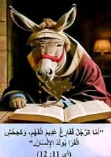 Formyfaith1's tweet photo. @mesheal3333 جحش https://t.co/0sGUPzpi3R