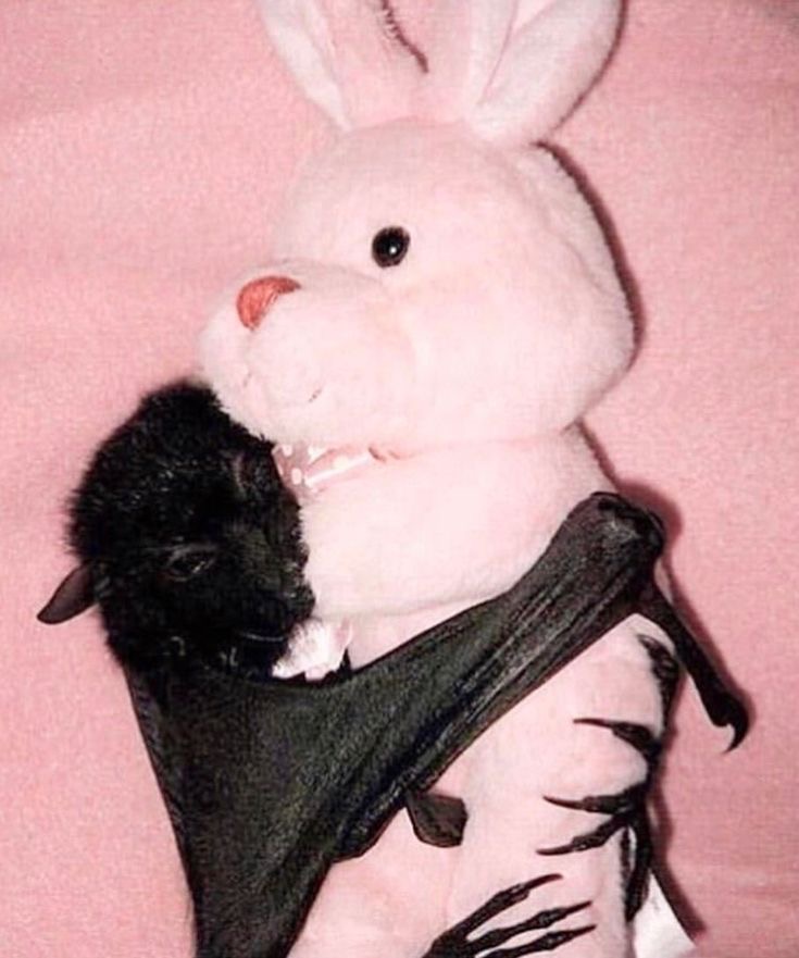 battwting tweet picture