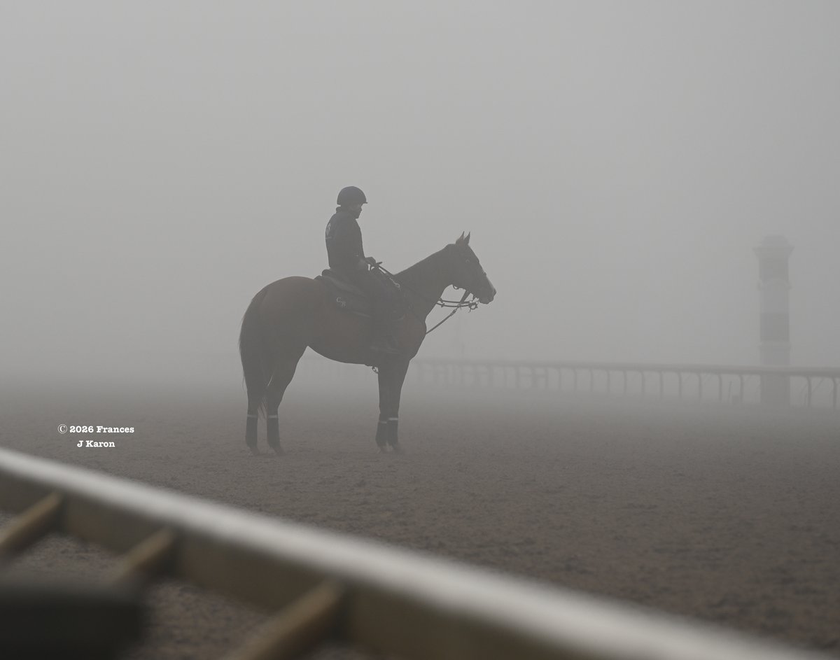 francesjkaron's tweet photo. A foggy morning at Keeneland

ft.

Nitrogen (Steve Asmussen cameo on pony);

Golden Tempo (he said, fog shmog, imma do my thing);

Barber Road (feeling his oats);

Baldo (it's his birthday 🎂)

Re: the visibility this AM, the first pic was taken at 7:34 and the fourth at 9:15. https://t.co/03zJ22ieHw