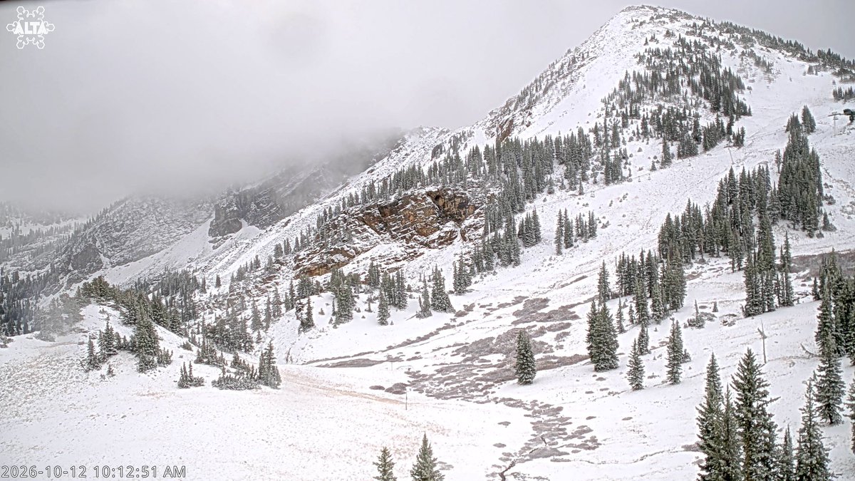AltaSkiArea's tweet photo. First measurable snow of the season 📈

📸: Alta’s Mountain Cams 
https://t.co/HI5bgg9kgo https://t.co/fd1O7qHFFT
