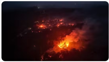 Amaro_Coronel's tweet photo. SALVE A AMAZÔNIA!!!
Não vote no PT!
Não dê chance à @MarinaSilva continuar destruindo a selva brasileira e a vida de nossos indígenas. https://t.co/fMitpeRVVp