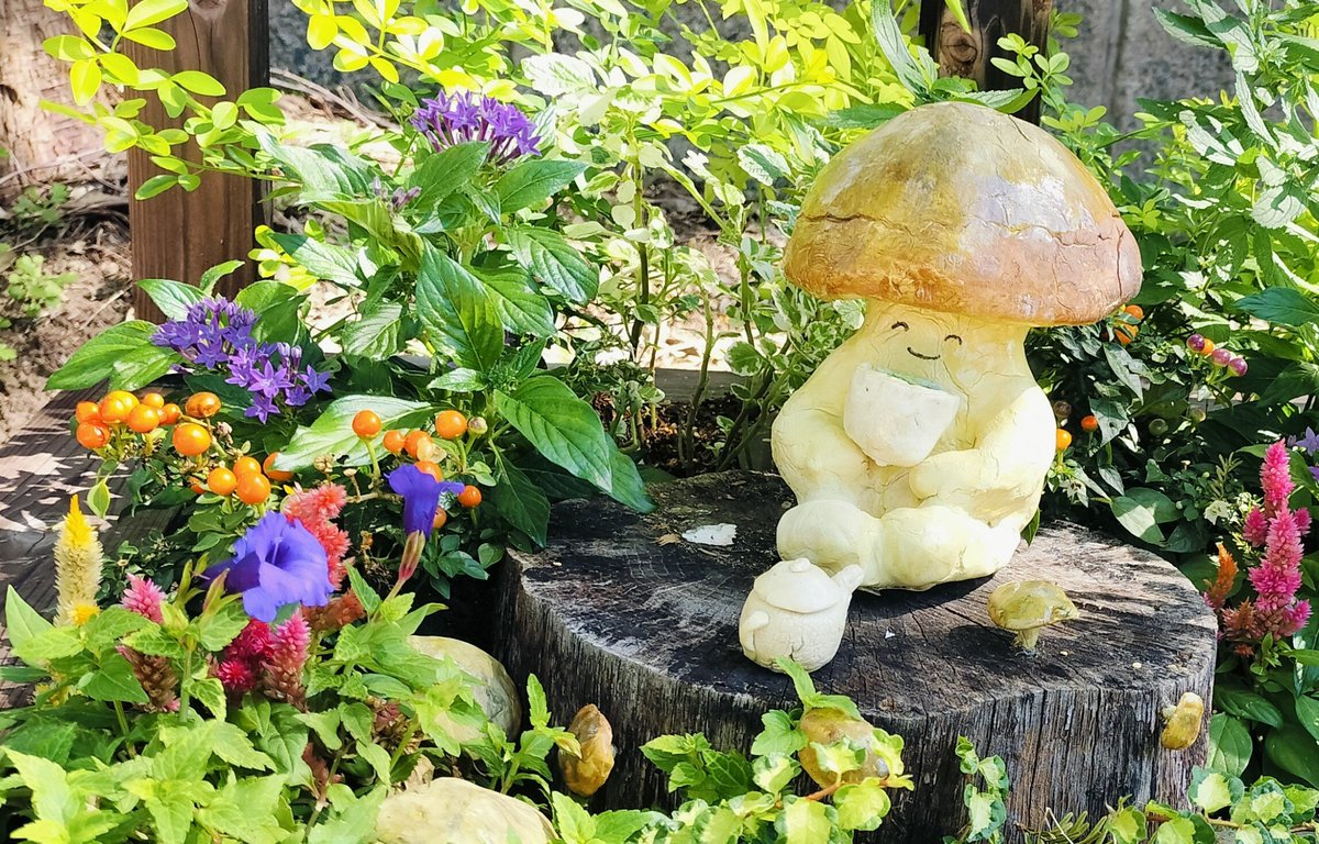 rhkmsae's tweet photo. 丹波緑化フェア
暑いくらいの秋晴れでした🌰
#SMAP
#私の_世界に一つだけの花 https://t.co/UDhInXpvwB