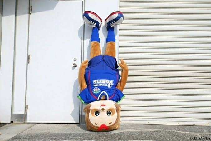 BADBEAR112919's tweet photo. ハルくんの三点倒立

ヴォルタくんでしか見た事ない https://t.co/zpyGagMXGC