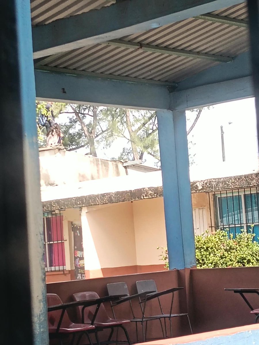 CDPNoticias1's tweet photo. Hombre armado con arco genera alarma al ingresar a primaria en Coatzacoalcos y subir con su hija al techo https://t.co/QENRM2Vot4 https://t.co/cSVSw4SXau