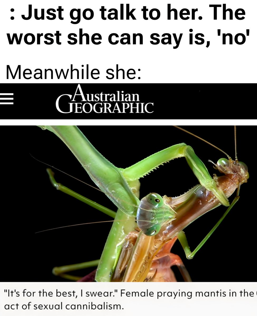 ThePhysicsMemes's tweet photo. S*Xual cannibalism #earth https://t.co/tmGaNCCynU