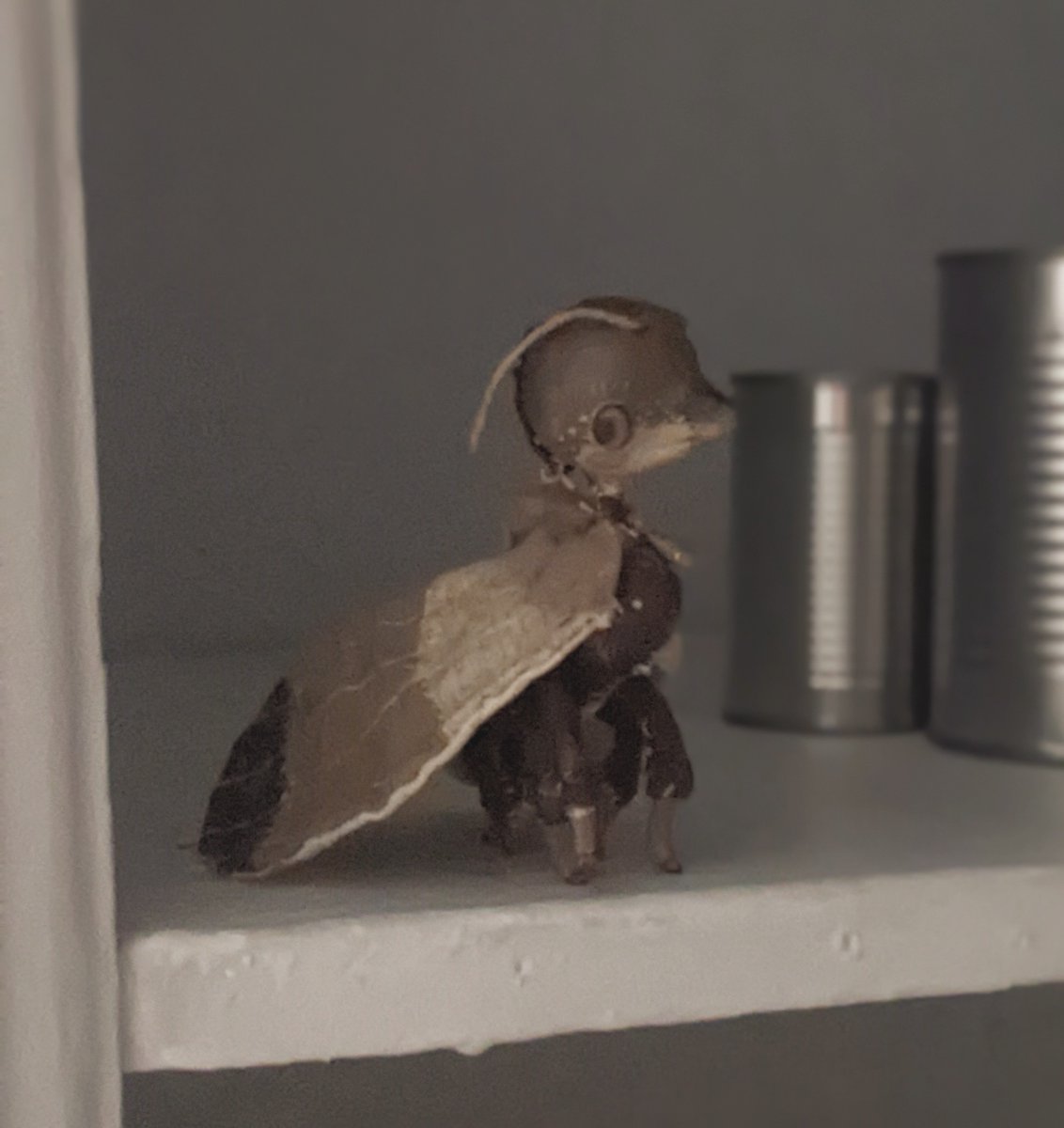 Wynfred1840's tweet photo. grain moth; pantry moth inspired doll-figurine

sold,oktober2026 https://t.co/Ho6aBZCs2N