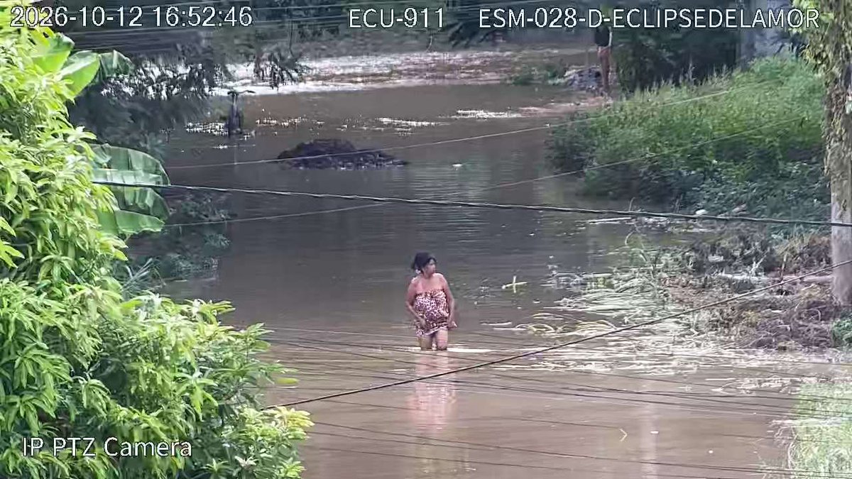 ecu911Ibarra's tweet photo. 📍 #Esmeraldas l Desde el Sistema de #VideovigilanciaECU911 se mantiene el monitoreo preventivo por el aumento del caudal del río Esmeraldas, que ocasiona anegaciones en las islas Piedad, Vargas Torres, Pianguapí y Roberto Luis Cervantes.

🚨 El @ECU911_ permanece atento a cualquier novedad para coordinar la atención con las instituciones articuladas.

📞 Ante una situación de riesgo, llama al 9️⃣-1️⃣-1️⃣.

#LíneaÚnicaParaEmergencias