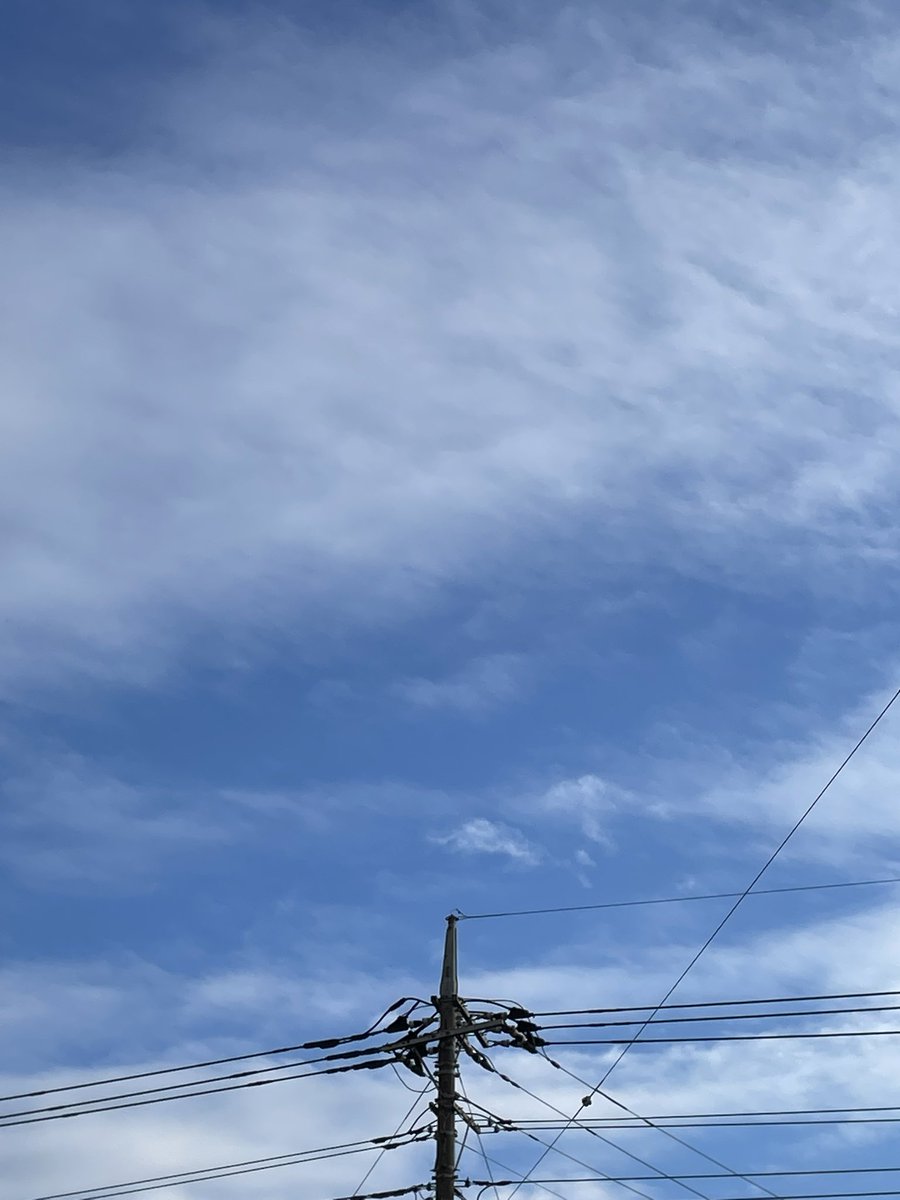 fujio5656's tweet photo. 10月13日
おはようございます。
雲はありますが明るい空です。
アサガオは2輪咲いていました。 https://t.co/1EqvAI1CMJ