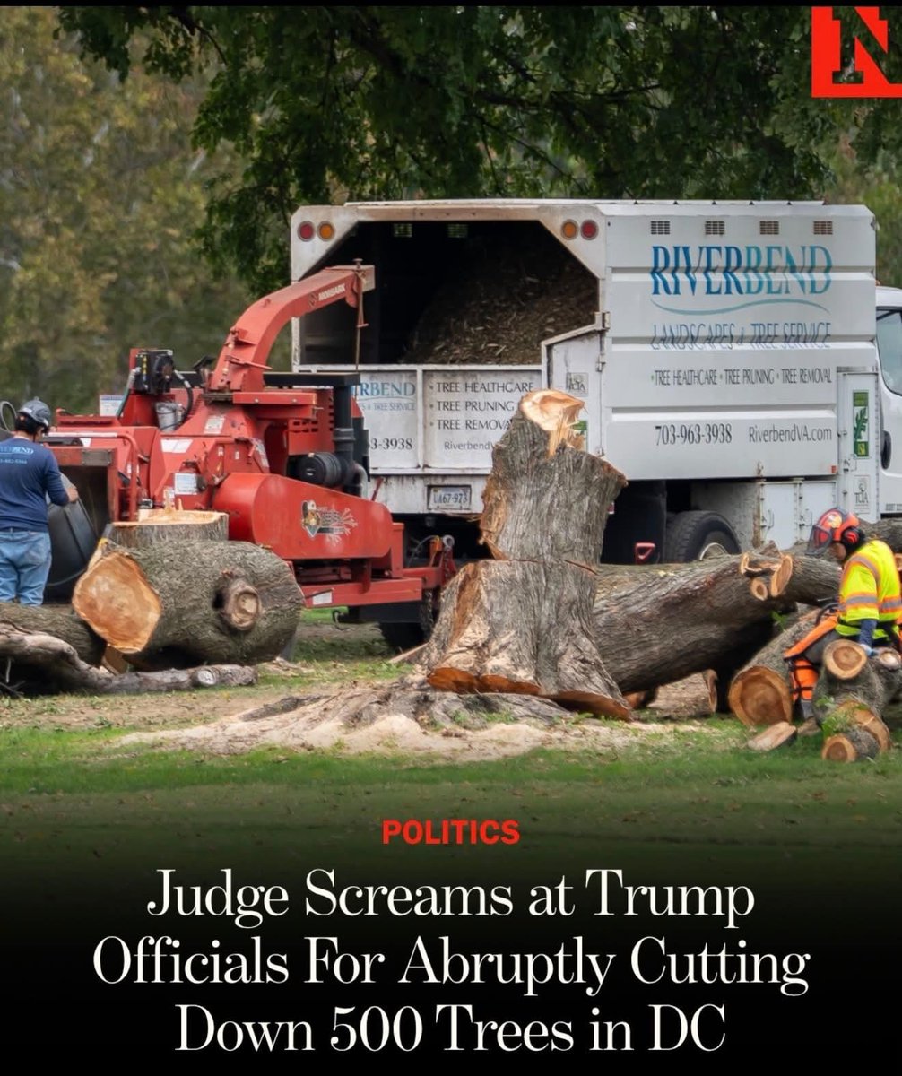 LillianVikingDK's tweet photo. Logan Jones is the owner of Riverbend landscaping. The guy who disobeyed a court order and chopped down hundreds of trees in DC, some of which were planted over 100 years ago. Show Logan the day he and his maga company deserve. 

Riverbend Landscsping
112 Ruritan Road
Sterling https://t.co/rCML0K2CqX