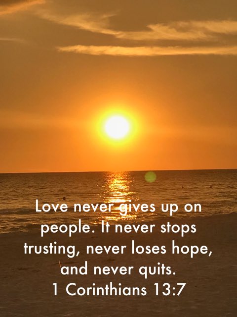 SarahMoore44358's tweet photo. 🤗🕊💖 https://t.co/h0DTi45WqW