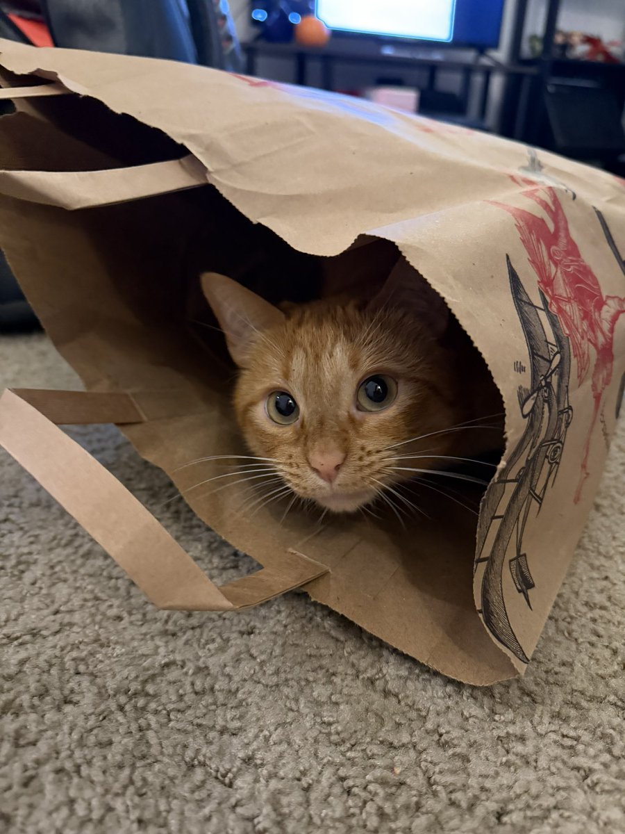 eparaboschi's tweet photo. this new trader joes product sucks https://t.co/5FNo7Wpx5L