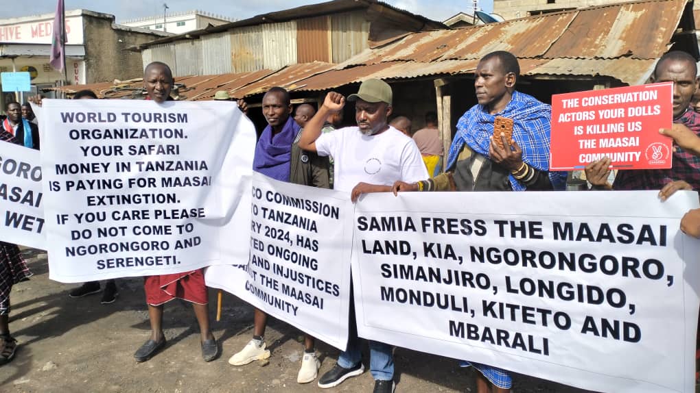 oak_institute's tweet photo. .@SuluhuSamia regime abducted & detained 5 Maasai men last week. Over 30 community members have been arrested in Ngorongoro over the past 2 months, while thousands of livestock have been confiscated in Loliondo.

Human rights conditions in northern Tanzania are rapidly worsening. These are not isolated incidents, but part of a calculated campaign to silence Indigenous land defenders and force Maasai communities off their ancestral lands to make way for safari tourism and trophy hunting.

@Mittaloak @Oleshangay @DenisMoses14 @MariaSTsehai @MaasaiMisa2022 @TheChanzo @IAMartin_ @Landislife @Roduza @davidpilling @KaamilAhmed @WedaeliC @WateteziTV @AJEPodcasts @LeMonde_Afrique