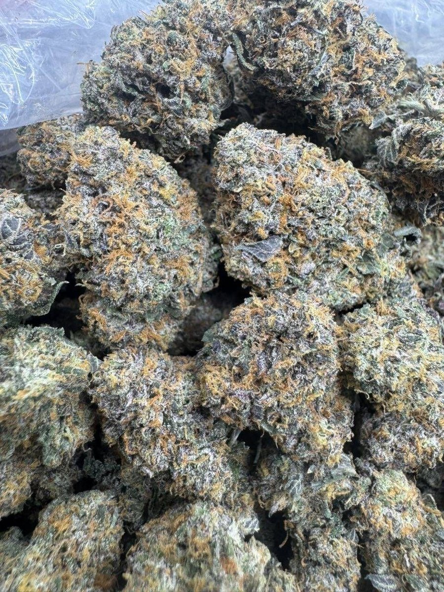 dolphin_disp_'s tweet photo. LTruffle candy

$800 https://t.co/2VC8V7gtxs
