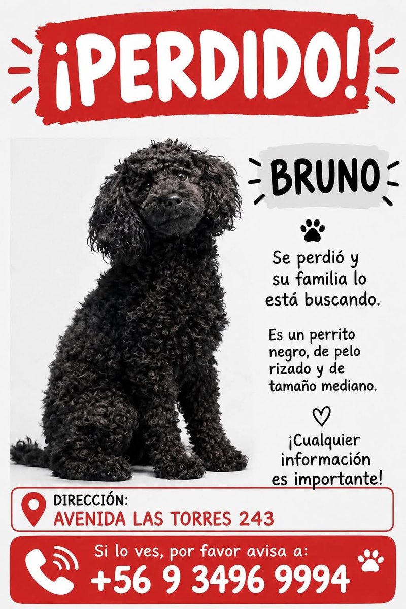 todopormiperro's tweet photo. Maipú https://t.co/Fsm0JXYSY6