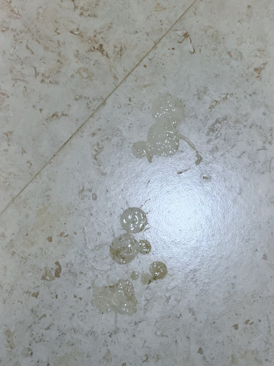 dolderk26's tweet photo. Para el piso jaja https://t.co/1Q7PjR0RS0