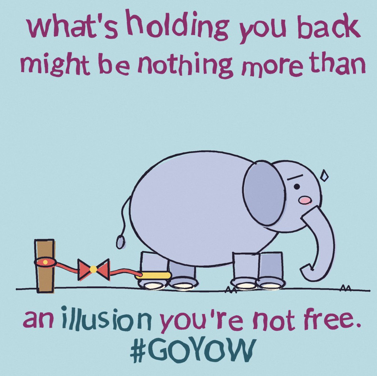 ShoutOutHealth tweet picture