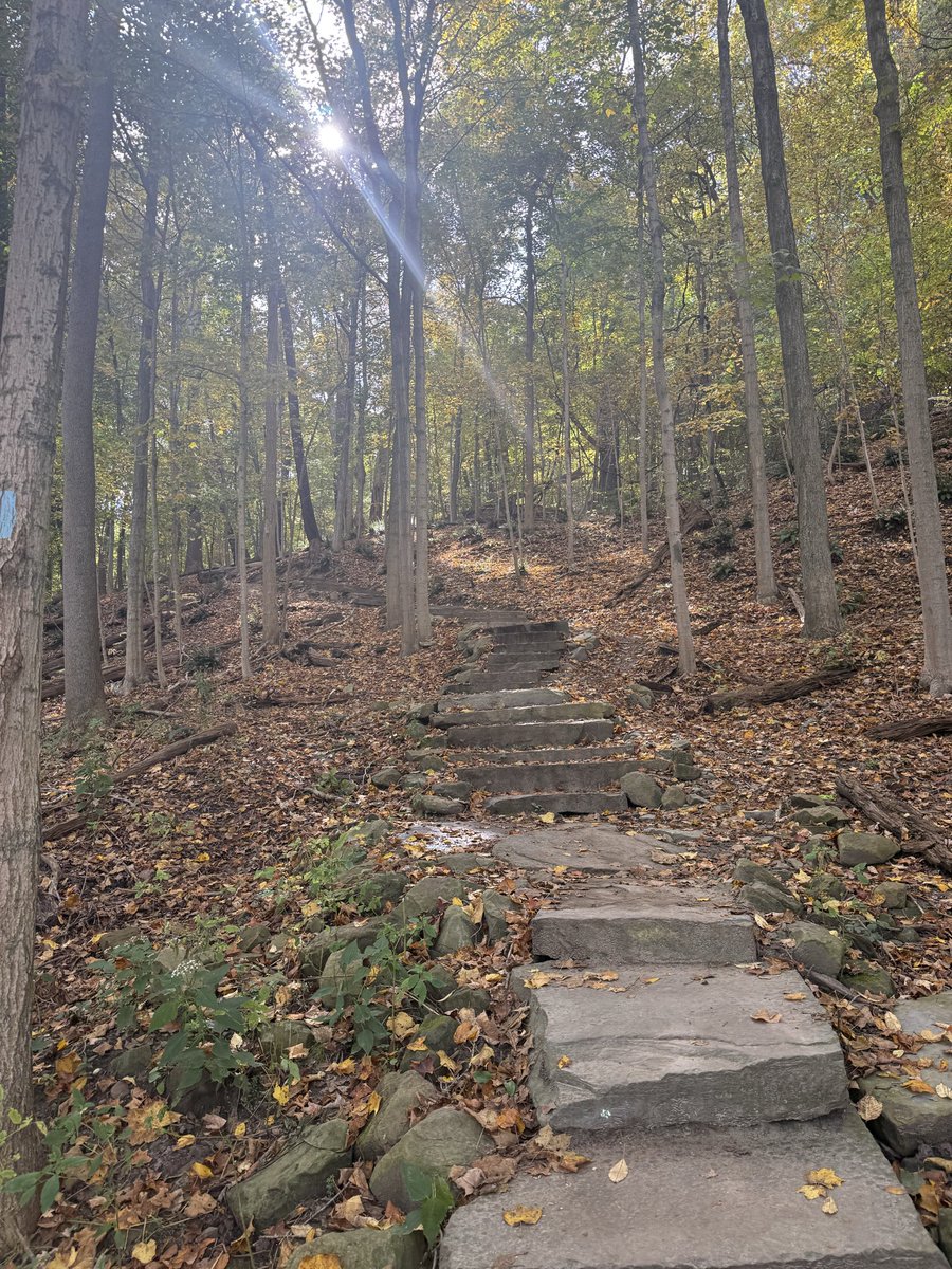 ctrlaltdylan's tweet photo. Real runners don’t post to strava https://t.co/nA4s8AUmlb