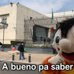 Photo by perrito ministro chicharrón del pueblo in vitro. (@soysaverio)