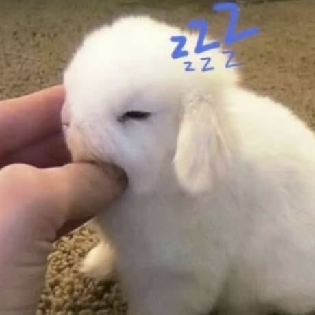 bunkmp's tweet photo. which bunny are you today? 
1.😋
2. nerdy bunny
3. shy bunny
4. eepy bunny https://t.co/1srAXK3m62