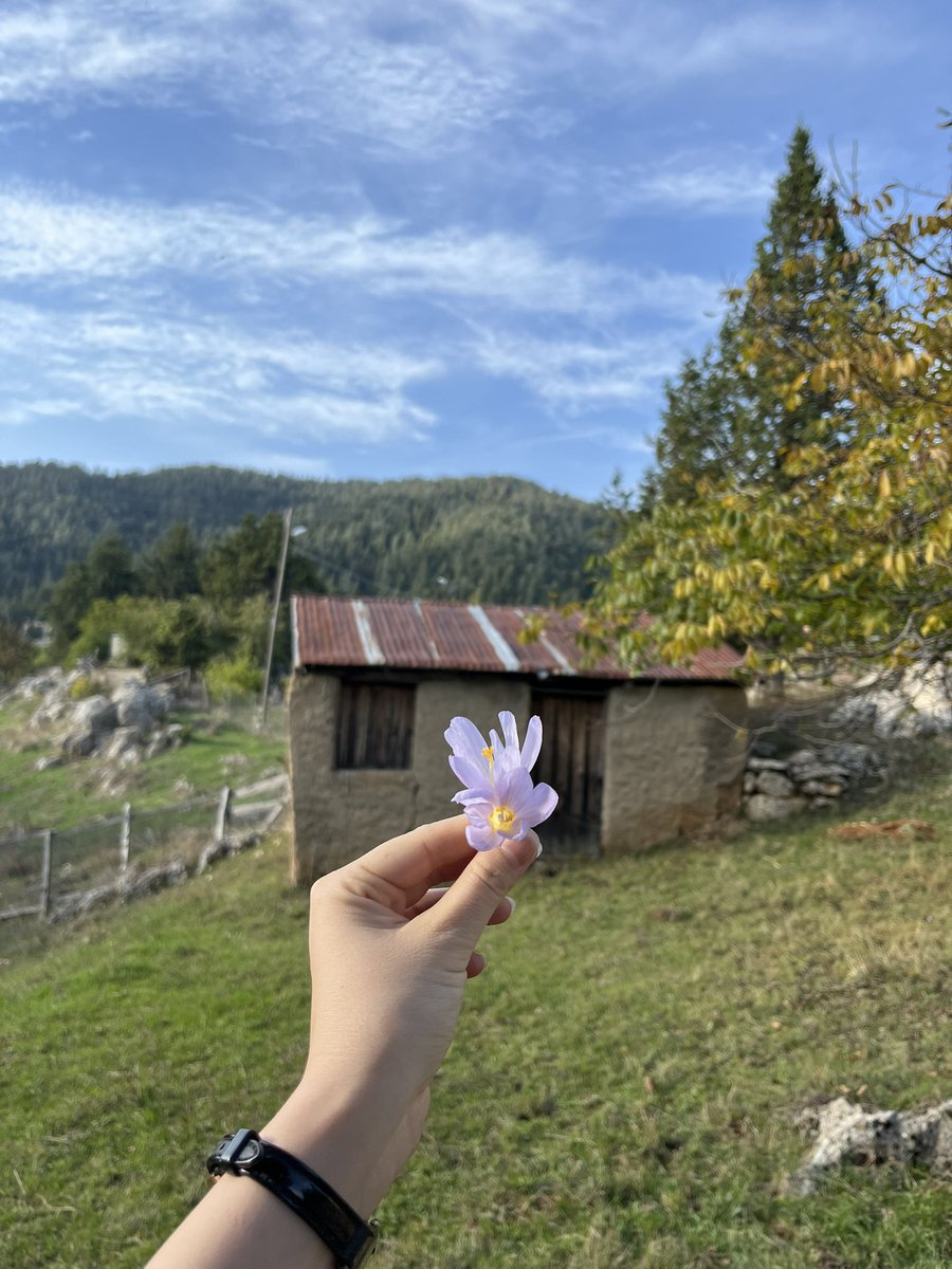 pnarakcali's tweet photo. Hislerimle dolu bir yayla evi 🫶🏻 https://t.co/db6Genrdue