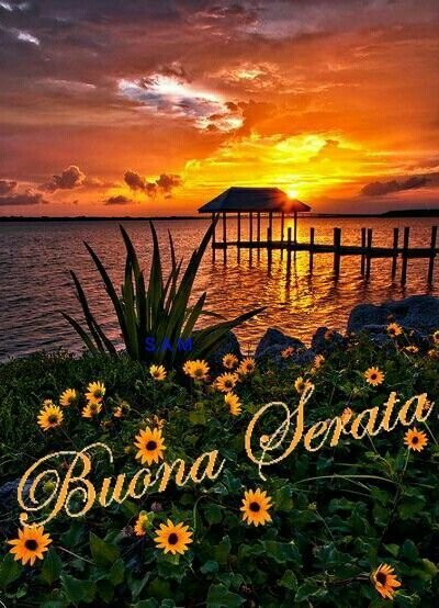 VOS188 tweet picture
